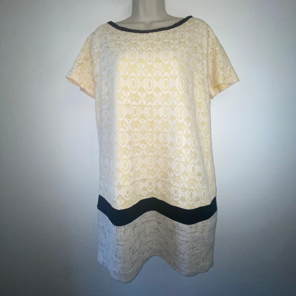W118 by Walter Baker Cream Lace Shift Dress with Black Trim